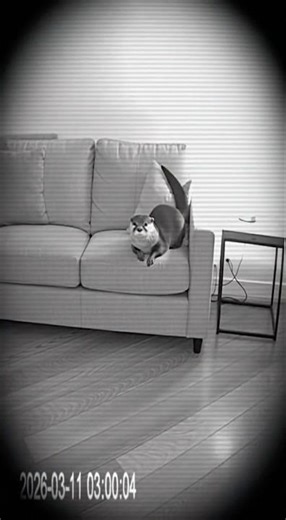 Our CCTV caught something terrifying at 3AM... 😱