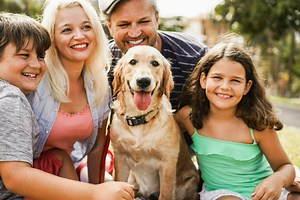 How having a dog changes your life (10 reasons why)