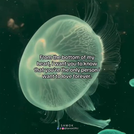 Remember me always huh. 😌🤗 | S̶a̶m̶o̶k̶