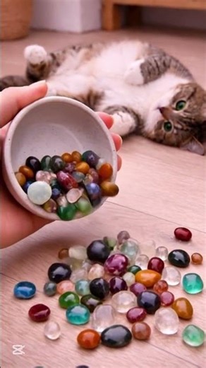 Reverse Reality | Relaxing ASMR Triggers with a Cat Nearby» 🐾✨