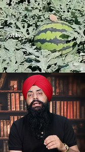 90K views · 1.2K reactions | Revolutionizing Farming: China's Cutting-Edge Agricultural Technology #ChinaFarming #Agricultural | Jot TV | Facebook