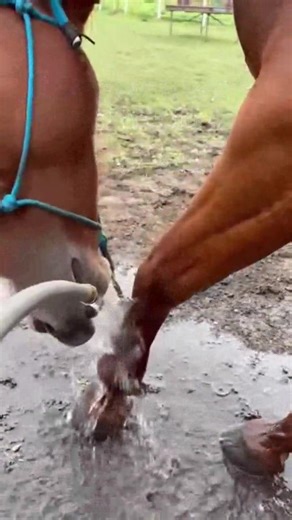 Pool Party Time! ---- | Strong in the Saddle | Facebook