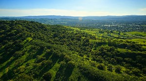 Rolling hills and lush green forests