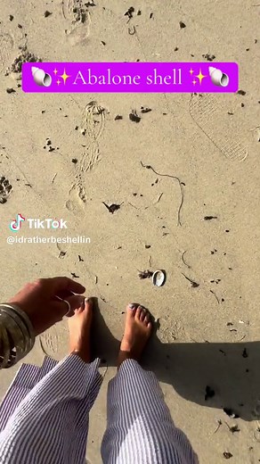 Finding Abalone Shells: A Guide to Beach Treasures