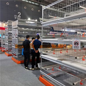 [Hot Item] Automatic Poultry Chicken Livestock Machinery for Broiler Baby Chicken