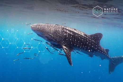 NatureMetrics: measuring biodiversity for a healthier planet - BNP Paribas