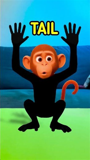 Learn Monkey Body Parts! 🐵👀👂 Fun Video for Kids