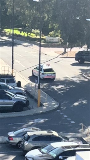 FTP@Memphis @INSANX_BL #cop #catchmedogs