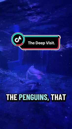 Exploring The Deep: A Hull Aquarium Adventure