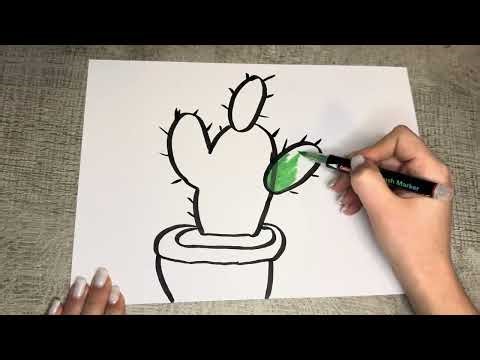 How to Draw and Paint a Cactus 🌵 Step-by-Step Easy Art Tutorial for Beginners