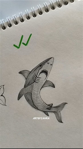 Easy and quick tutorial on how to draw a shark with a pencil for beginners✨🦈 #artbyzahra #howtodraw