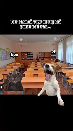 тот#самый#друг который ржёт так #школа #вайб 😂