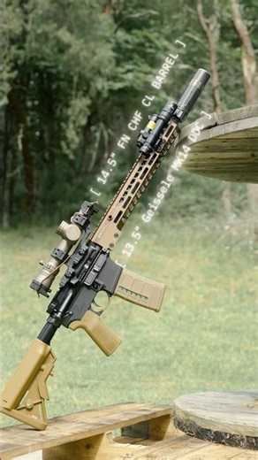 Best Rifle For Around $1000 (PSA Sabre Build)