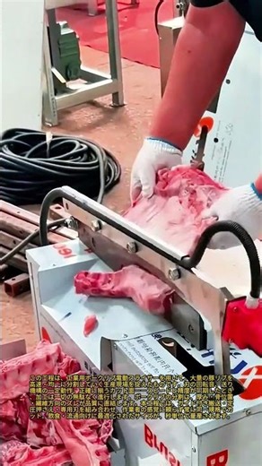 豚スペアリブを切る最速の方法：業務用肉スライサー 驚異の電動リブカッターの実演