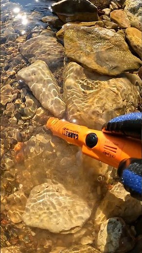 Treasure Hunting in the River with the Metal Detector #shorts #metaldetecting #treasure