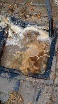 Massive Sewer Overflow 😱