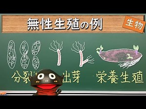 無性生殖の例とその遺伝的多様性【121生物】（新課程では必須ではないので注意）