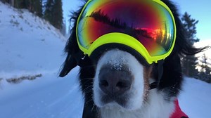 Loveland Ski Area is now making snow for the 2020/21 season. Get ready! | Loveland Ski Area