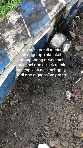 0310⚡️⚡️ on TikTok