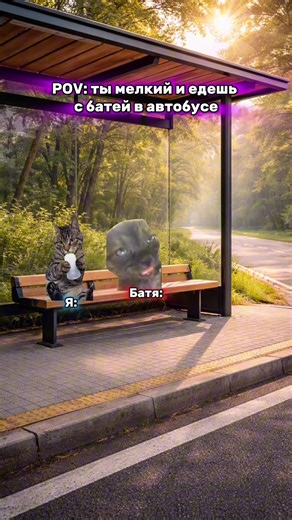 Memes that help cats 😼 #cat #meme | Cat Memes