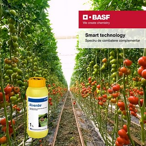 44K views · 62 reactions | Soluții inovatoare, culturi smart. Prin...