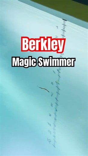 Underwater Bait Action Video of the Berkley Magic Swimmer