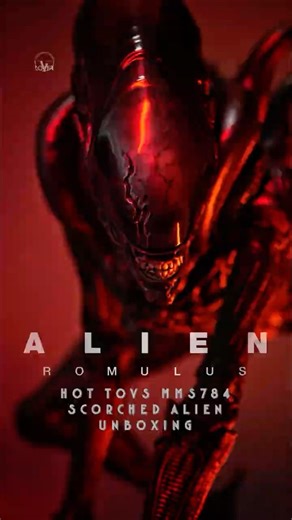 Hot Toys MMS784 Alien Romulus - Scorched Alien Unboxing #hottoys #alienromulus