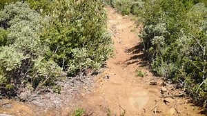 Santa Barbara: Greatest Hits - Episode 1