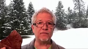 Scientist fired for his soft tissue discoveries. Here's the original video: https://youtu.be/MetkW5uvwJw Link to his work is in the description of the original linked above. | Founded Earth Brothers