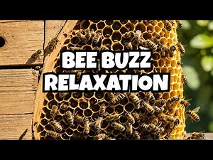 10 HOURS OF BEES BUZZING AT THE HIVE FOR SLEEP, STUDY, AND FOCUS – NATURE AMBIENCE