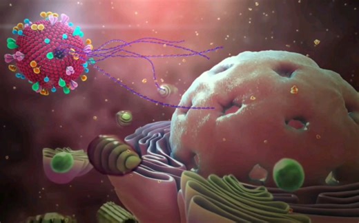 【新型冠状病毒】3D模型动画解释新型冠状病毒的感染、传播机理