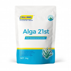[Hot Item] Alga 21st Alginic Acid Seaweed Extract