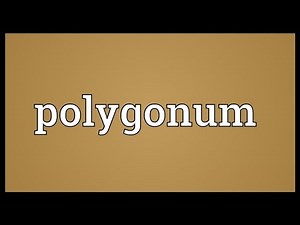 Polygonum Meaning