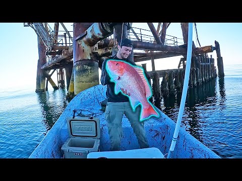 PANGA Fishing OFFSHORE OIL RIGS for GIANT Fish! {Gulf of Mexico}