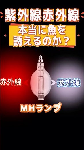 #メタルハライドランプ は紫外線と赤外線を発するため、LEDより集魚効果が高いのではないか？