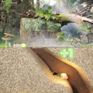 Redeem Gift Code: THEANTS777 | The Ants: Underground Kingdom | Facebook