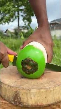 coconut cutting| coco cutting| nariyal pani | dabh