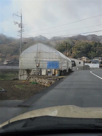 Which koi do you think has show potential? 👀🐠 Tom highlights the best of Taniguchi Koi Farm. #JapaneseKoi #KoiFish #TaniguchiKoiFarm #FishTok #KoiTok #ChampKoi #KoiSale