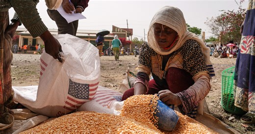 USAID cuts could lead to 14 million deaths over the next five years, researchers say