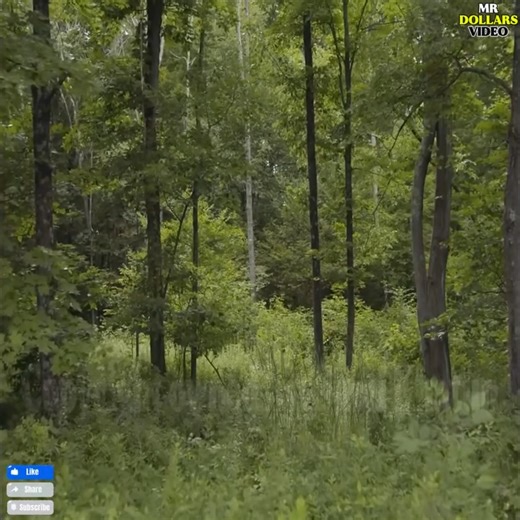 Non-stop action moments that’ll blow your mind 😱🔫 #Gunfight #MovieHighlight #Explosive #MustWatch #IntenseMoments #WatchTillTheEnd #CinemaEdits #WOW | Facts And Mystery Adda