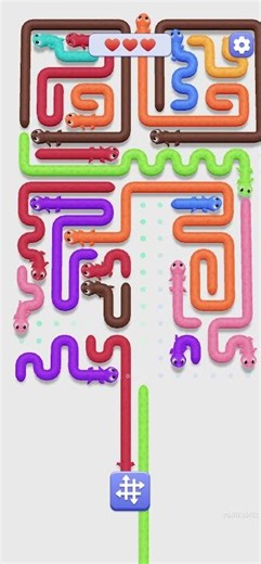 Gecko Go 18