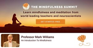 Prof Mark Williams - An Introduction to What Is Mindfulness