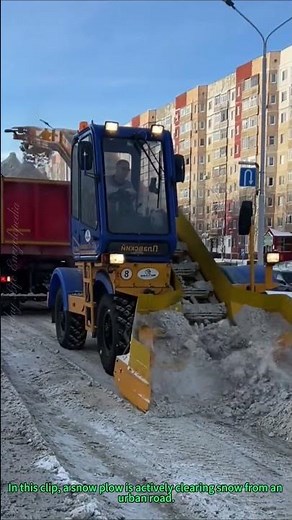 Snow Plow at Work: Efficiently Clearing City Roads of Snow