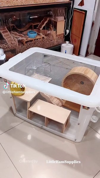 Hamster Cage Setup: Creating a Cozy Habitat