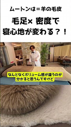 【初心者必見】ムートン選びで失敗しない「毛足×密度」の法則 #ムートン #寝具選び #睡眠の質 #快眠グッズ