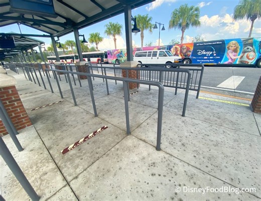 I've Tried Every Transportation Hack in Disney World and I'm Sharing 8 of My Favorites | the disney food blog