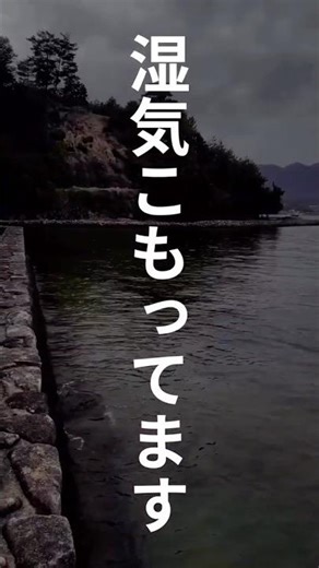 湿気こもってます。そのままだとカビの原因になります。 #掃除 #プチ知識 #生活の知恵 #雑学 #暮らしチャンネル