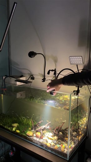 Aquarium Lights with Adjustable Aperture Features
