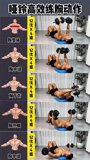 Dumbbell chest training exercises. Follow the text prompts below to practice#Exercise