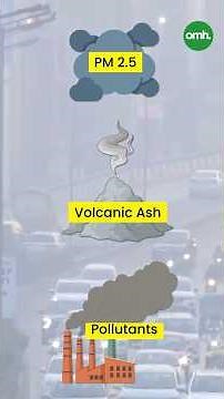 Cloth vs Surgical vs N95: Which Mask Truly Protects Your Lungs? | OnlyMyHealth